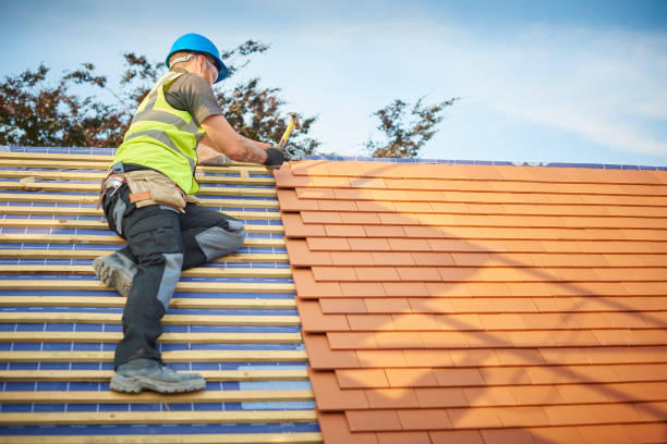 Best Asphalt Shingle Roofing  in Camp Wood, TX